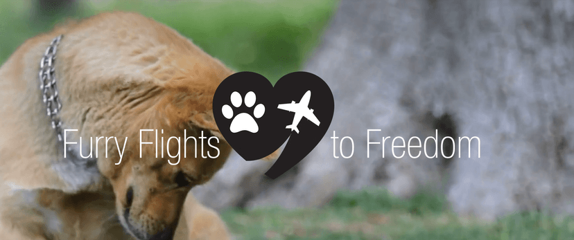 Furry Flights to Freedom logo
